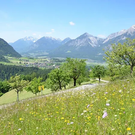 Hotel & Alpengasthof Pinzgerhof Inn