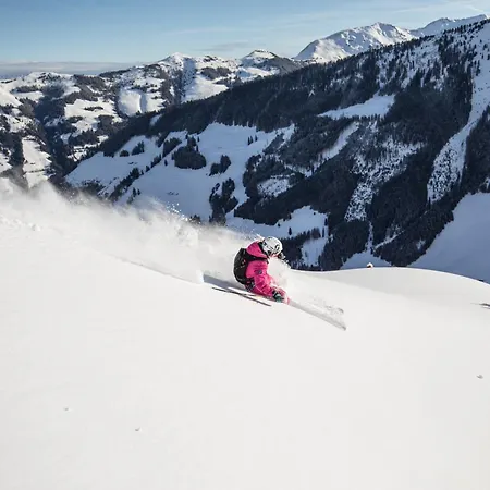 Hotel & Alpengasthof Pinzgerhof 3*