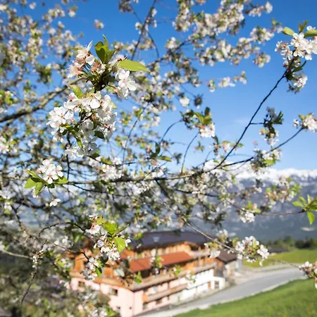 宾馆 & Alpengasthof Pinzgerhof