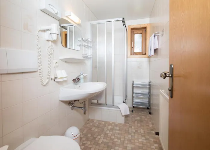 & Alpengasthof Pinzgerhof 宾馆 3*