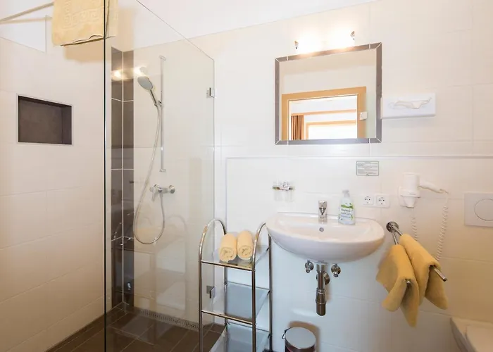 & Alpengasthof Pinzgerhof 3* 里斯奥尔巴赫塔