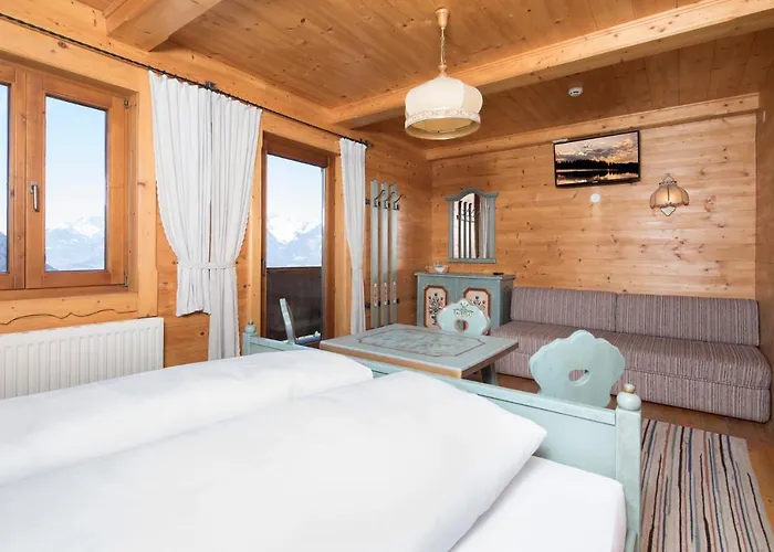 宾馆 & Alpengasthof Pinzgerhof 3*