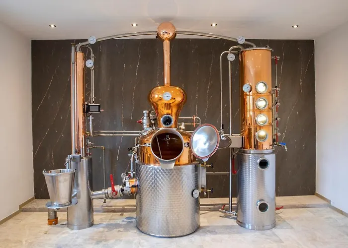 & Alpengasthof Pinzgerhof