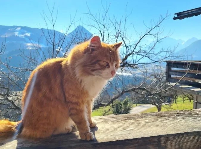 & Alpengasthof Pinzgerhof 3*