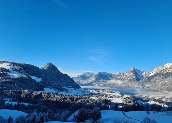 & Alpengasthof Pinzgerhof 宾馆 里斯奥尔巴赫塔