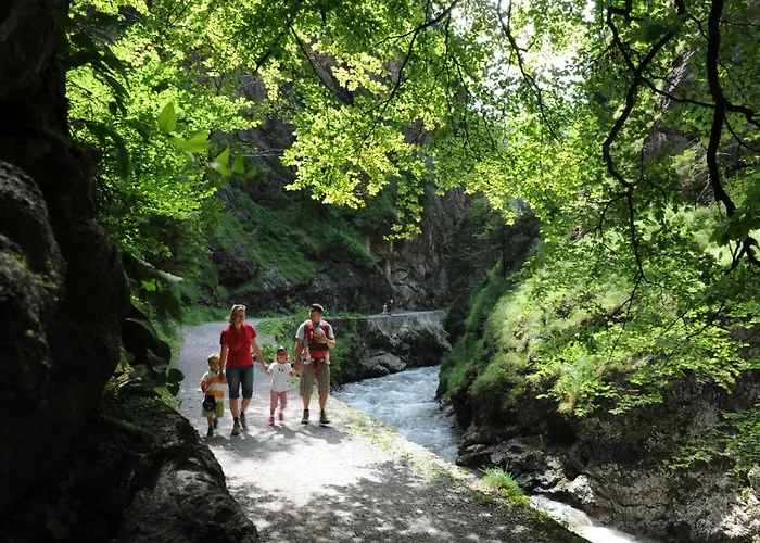 & Alpengasthof Pinzgerhof 宾馆 里斯奥尔巴赫塔