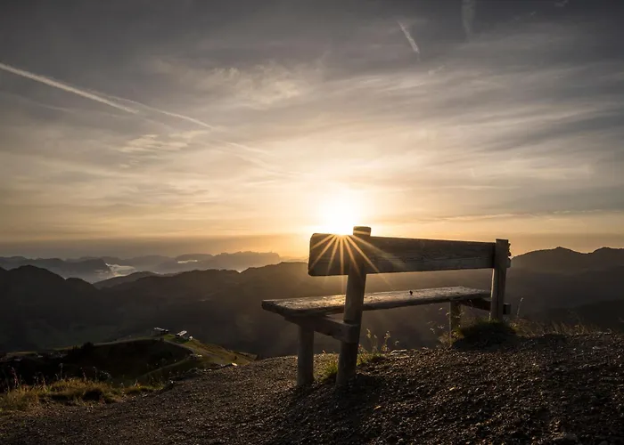 宾馆 & Alpengasthof Pinzgerhof 里斯奥尔巴赫塔