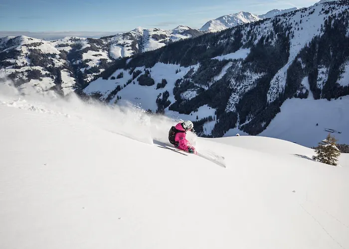 & Alpengasthof Pinzgerhof 3*