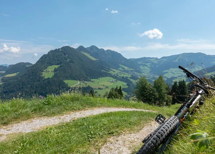 & Alpengasthof Pinzgerhof