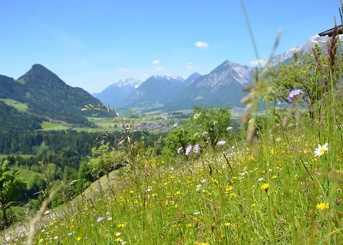 & Alpengasthof Pinzgerhof 3* 里斯奥尔巴赫塔