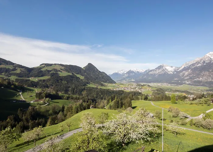 & Alpengasthof Pinzgerhof 宾馆 里斯奥尔巴赫塔