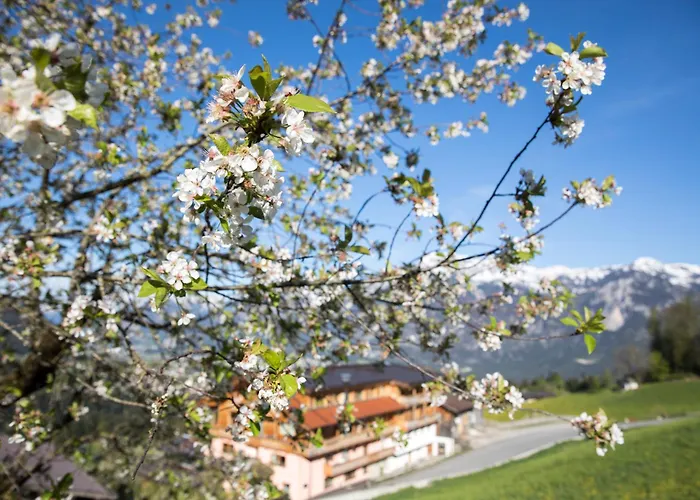 宾馆 & Alpengasthof Pinzgerhof