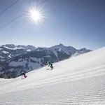 بيت ريفي & Alpengasthof Pinzgerhof