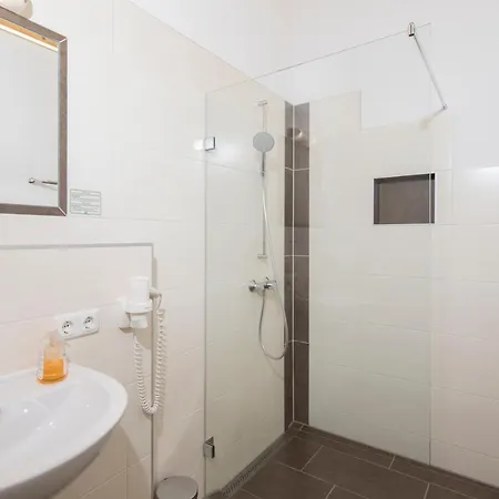 & Alpengasthof Pinzgerhof イン