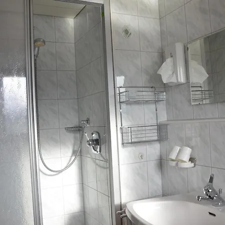 & Alpengasthof Pinzgerhof 3* ライト・イム・アルプバッハタール