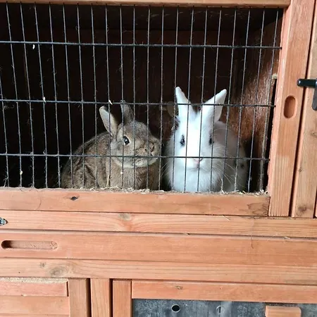 & Alpengasthof Pinzgerhof