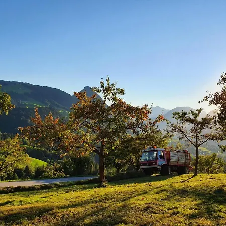 & Alpengasthof Pinzgerhof 3* ライト・イム・アルプバッハタール