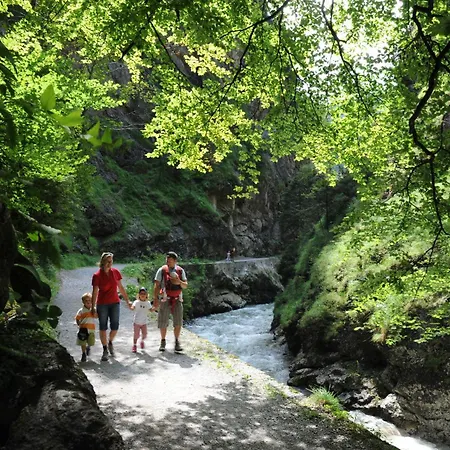 & Alpengasthof Pinzgerhof イン ライト・イム・アルプバッハタール