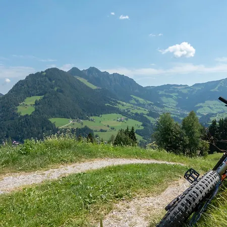 & Alpengasthof Pinzgerhof