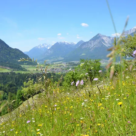 & Alpengasthof Pinzgerhof 3* ライト・イム・アルプバッハタール