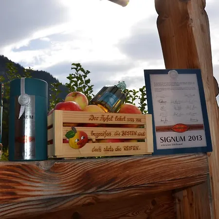 & Alpengasthof Pinzgerhof 3* ライト・イム・アルプバッハタール